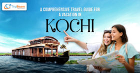 A Comprehensive Travel Guide For A Vacation In Kochi