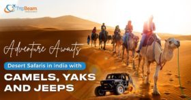 Adventure Awaits Desert Safaris in India with Camels Yaks and Jeeps