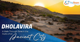 Dholavira A Walk Through Time in the Ruins of an Ancient City