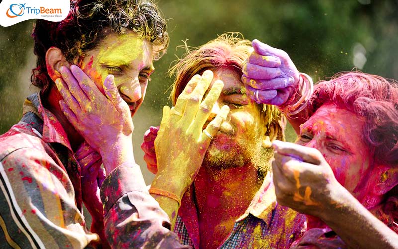 Dhulandi Holi Jaipur