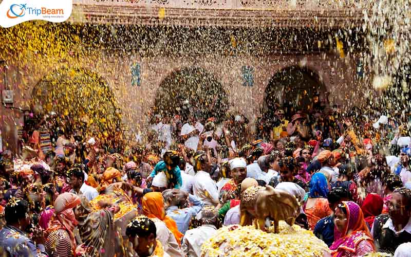 Gair Holi and Mali Holi Ajmer