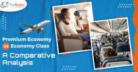 Premium Economy vs Economy Class A Comparative Analysis