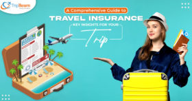 A Comprehensive Guide to Travel Insurance Key Insights for Your Trip