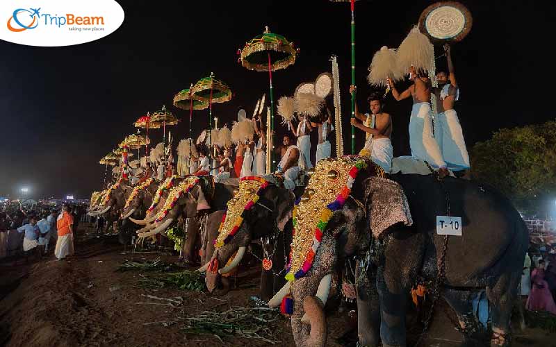 Kollam Pooram