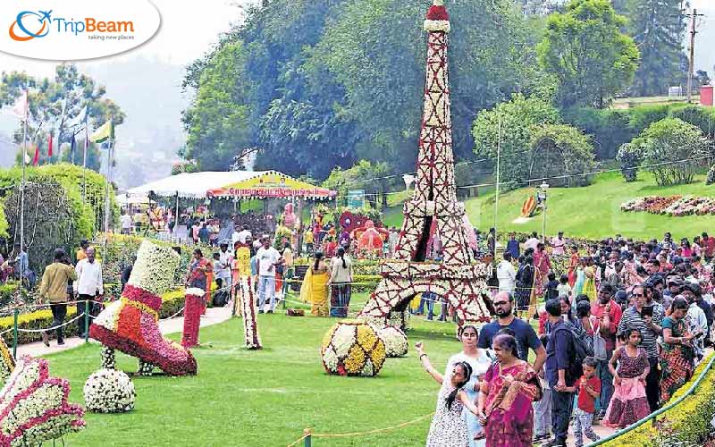 Ooty Flower Festival