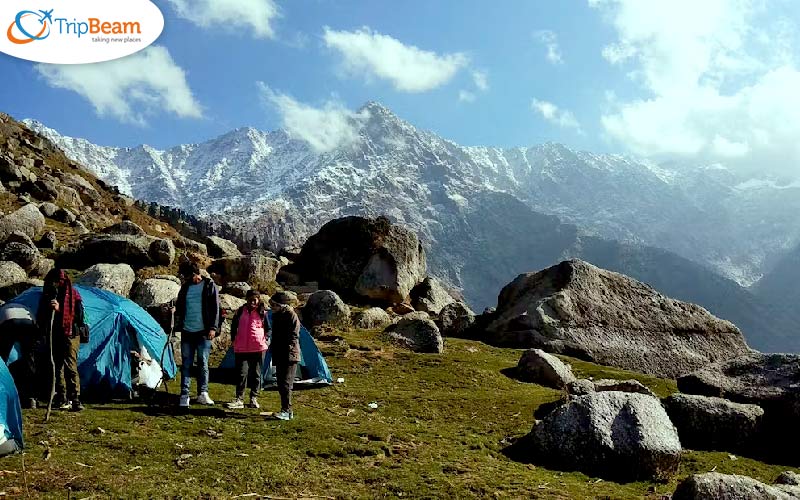Triund Trek Himachal Pradesh