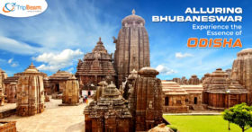 Alluring Bhubaneswar Experience the Essence of Odisha