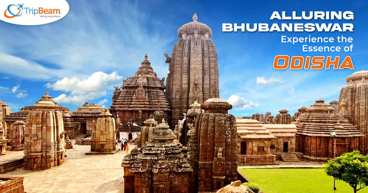 Alluring Bhubaneswar Experience the Essence of Odisha