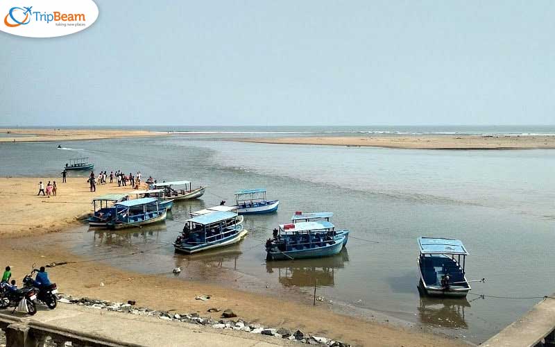 Ramachandi Beach Bhubaneswar