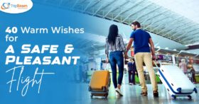 40 Warm Wishes for a Safe and Pleasant Flight