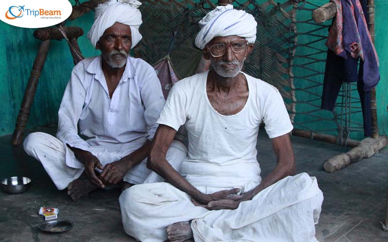 Gujarat life 1