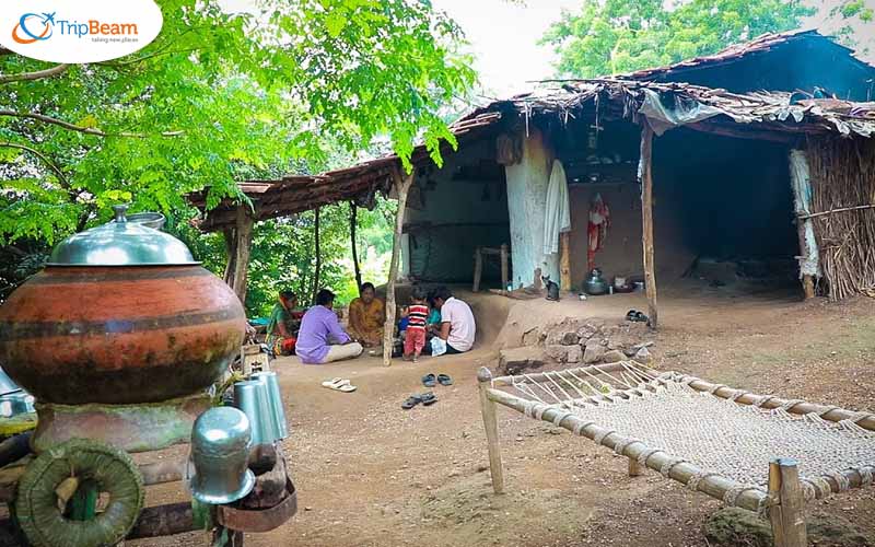 Gujarat life 2
