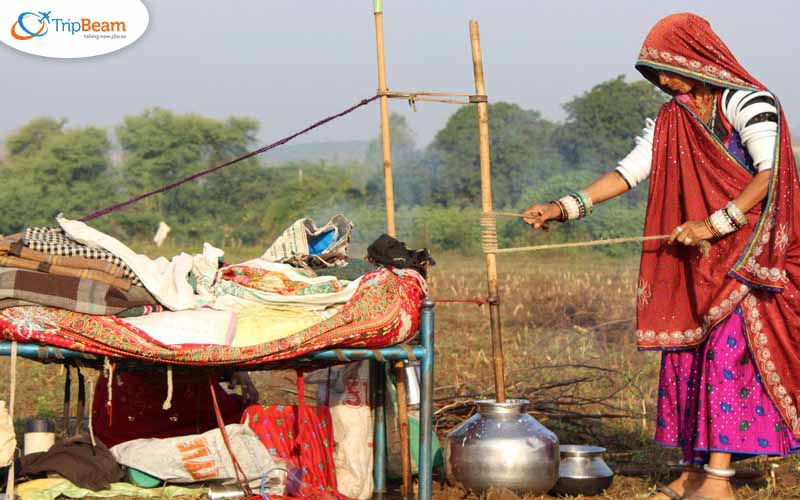 Gujarat life 4