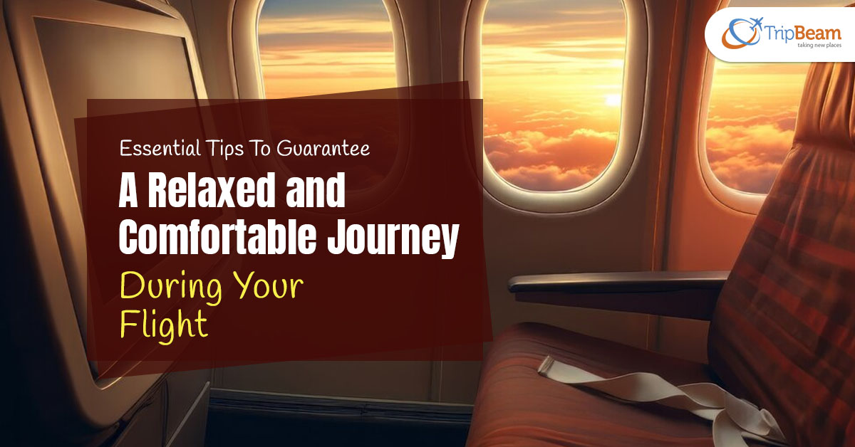 Essential Tips To Guarantee A Relaxed And Comfortable Journey During Your Flight Tripbeam com