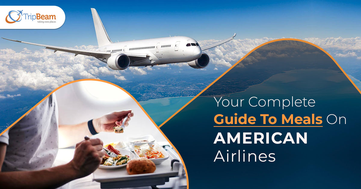 Your Complete Guide To Meals On American Airlines Tripbeam com