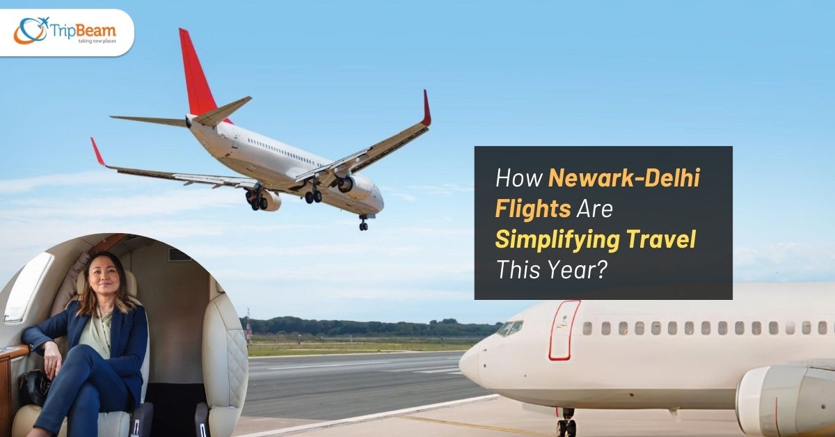 How Newark Delhi Flights Are Simplifying Travel This Year Tripbeam com