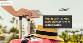 What to Do If You Miss Your Flight and Need to Rebook Quickly! Tripbeam com