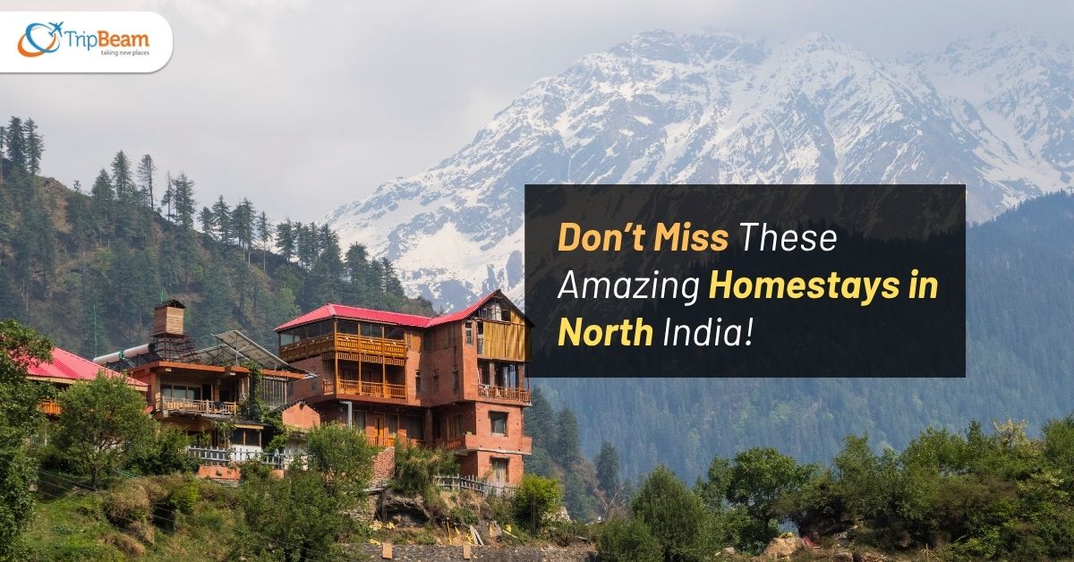 Don’t Miss These Amazing Homestays in North India! Tripbeam com