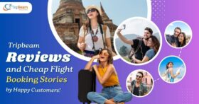 Tripbeam Reviews and Cheap Flight Booking Stories by Happy Customers! Tripbeam com (1)