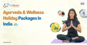 Ayurveda & Wellness Holiday Packages in India
