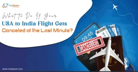 What Happens If Your Flight Is Canceled Last Minute copy