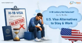H 1B Lottery Not Selected Here Are The Other U S Visa Alternatives to Stay & Work S copy